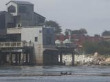 Monterey Bay 008